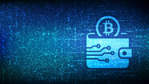 ML-Detect.com Offers Rapid and Reliable Wealth Recovery Services